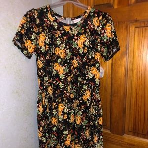 Lularoe Amelia Dress Size 2x